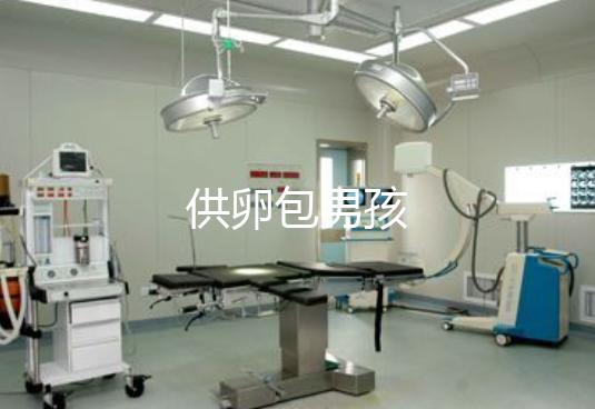 供卵包男孩